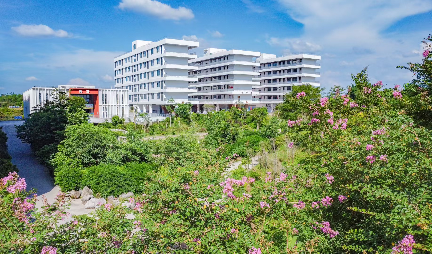 免学费！桂平市艺术学校爱心助学奖重磅来袭，圆你大学梦！